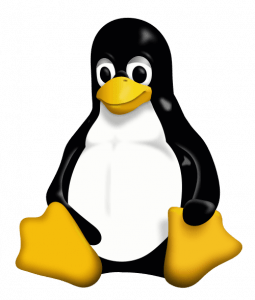 IPv6 in Linux