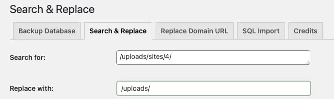 WP database Search & Replace database subsite fix